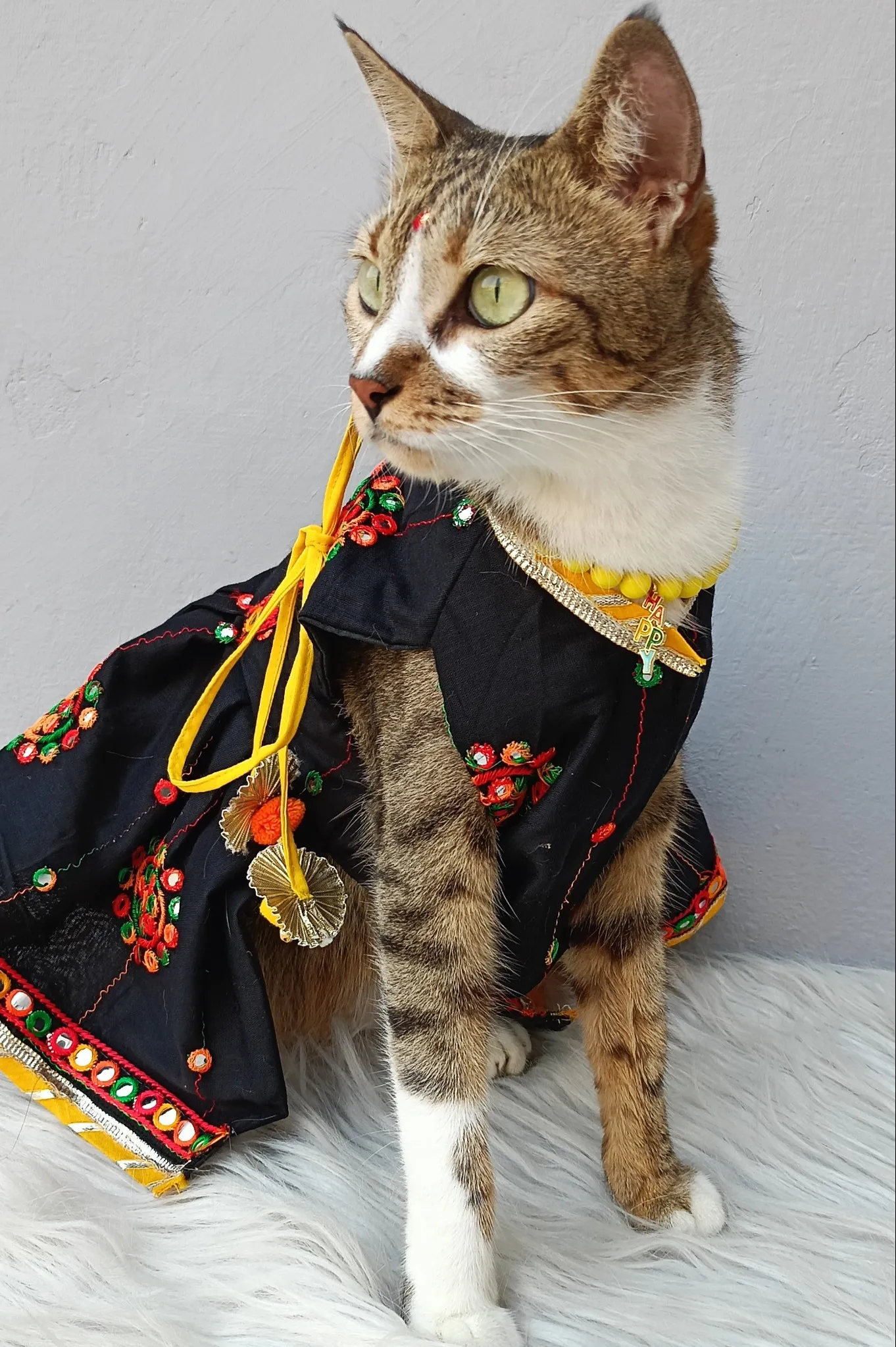 Black Navratri Angrakhha Dress