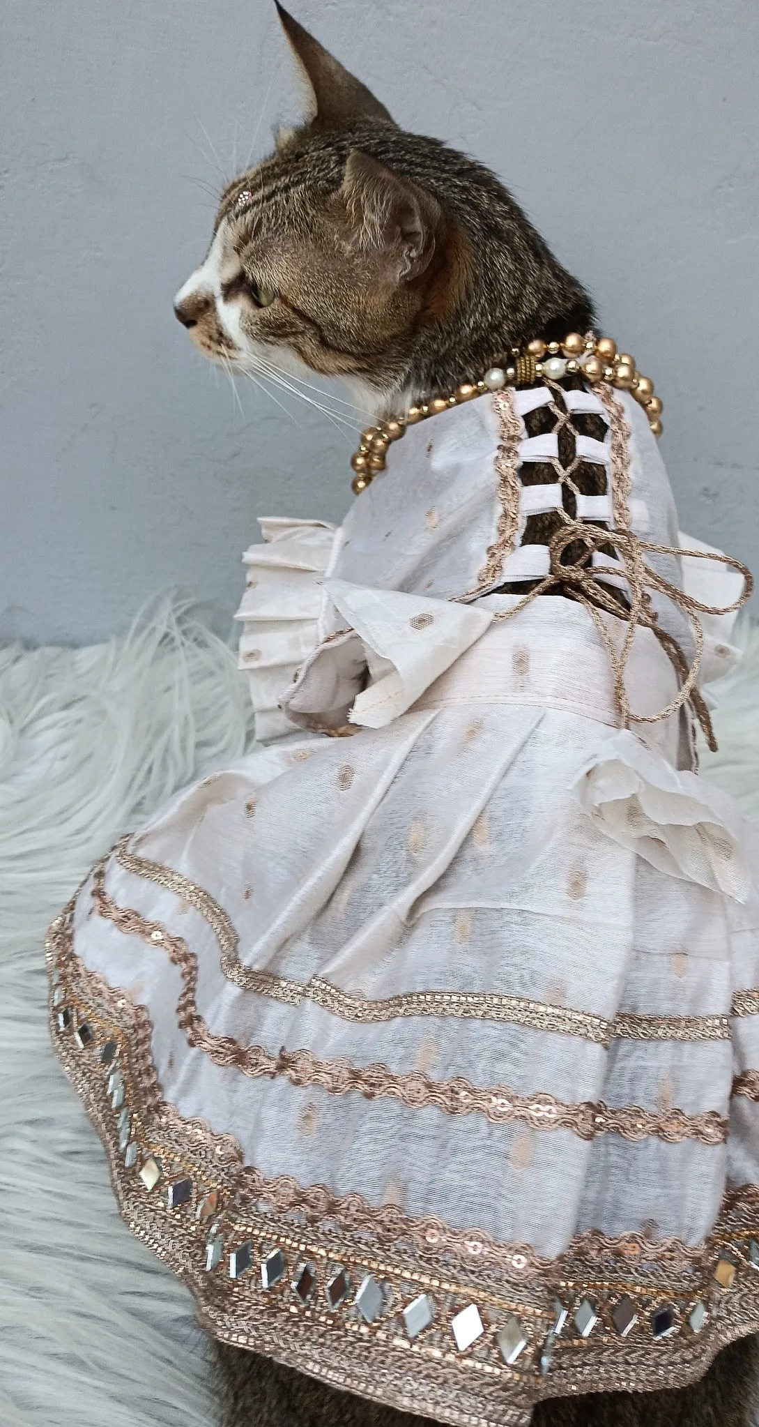 White with Golden border lehenga choli