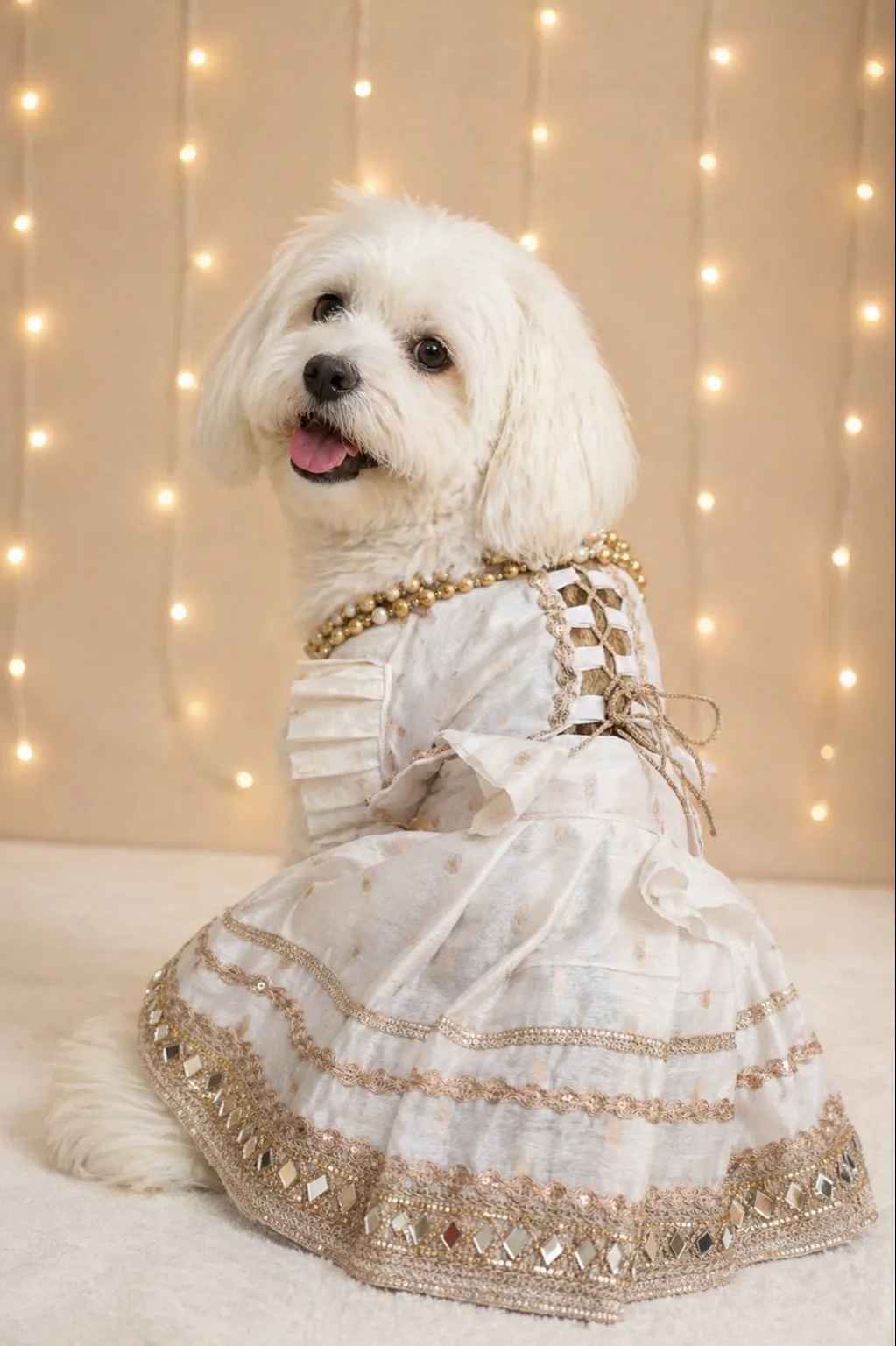 White with Golden border lehenga choli