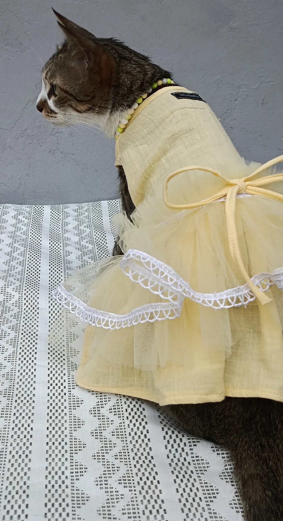Summer Elegance Yellow Birthday Dress