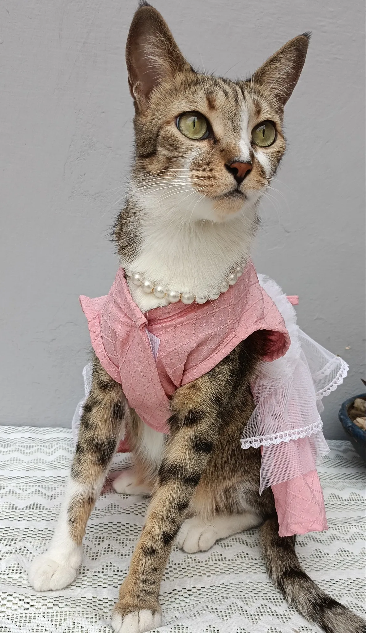 Summer Pink Blossom Birthday Dress