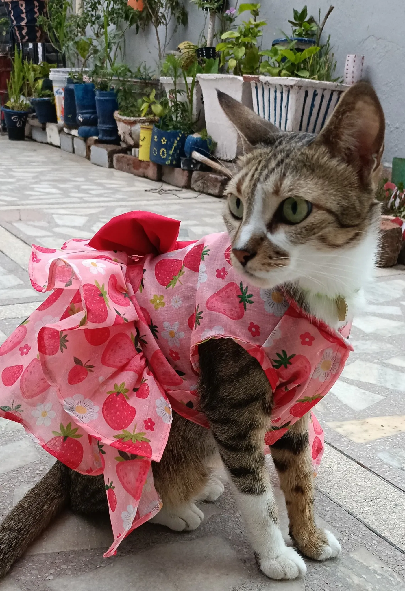 Strawberry and Flowers Summer Dress
