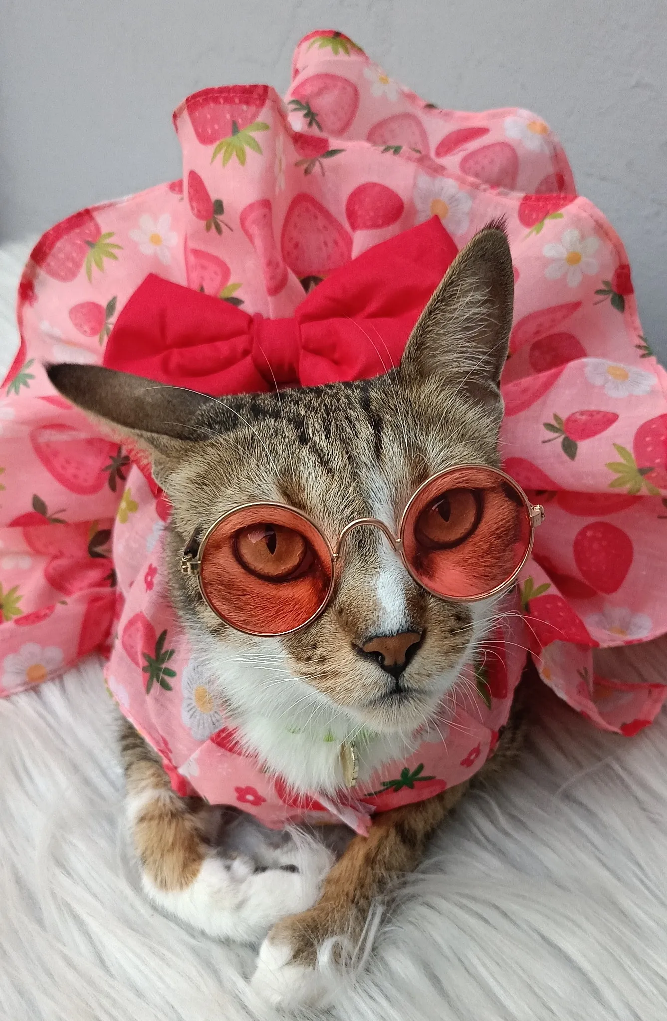 Strawberry and Flowers Summer Dress