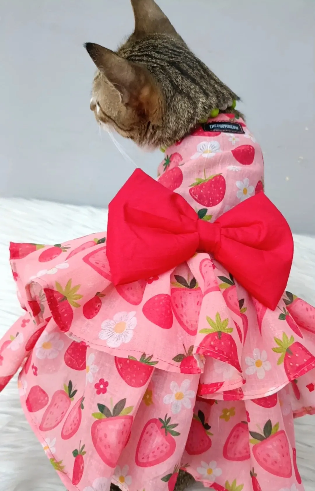 Strawberry and Flowers Summer Dress