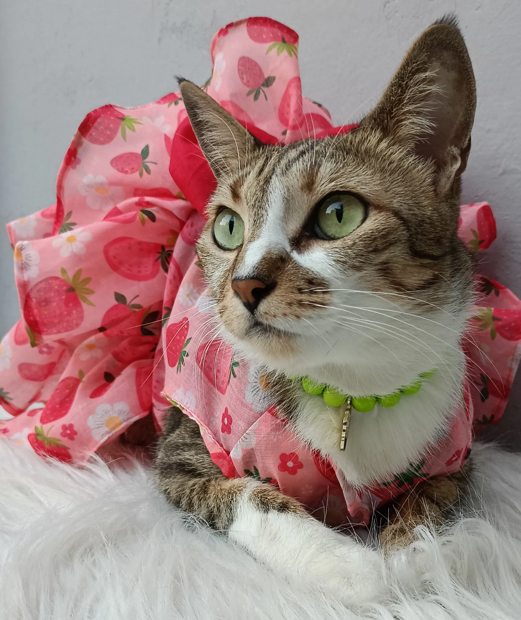 Strawberry and Flowers Summer Dress