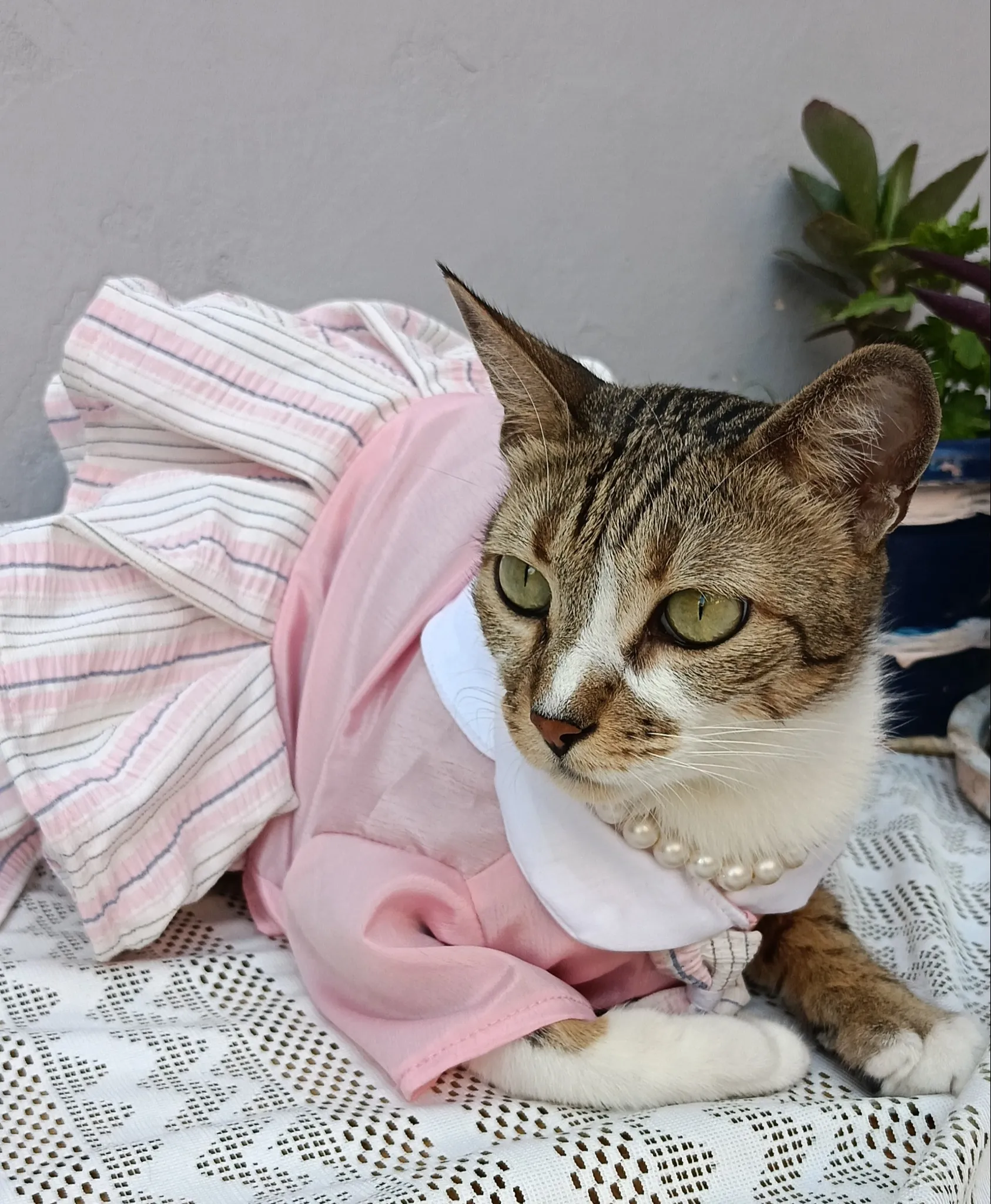 Pink Stripes Uniform Dress with Tie