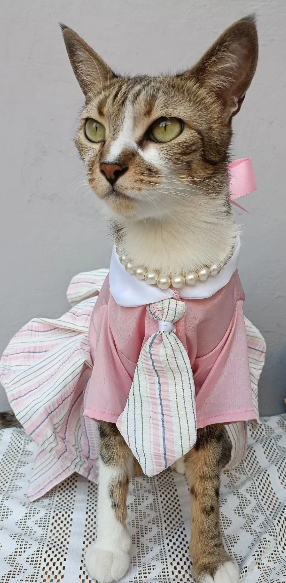 Pink Stripes Uniform Dress with Tie