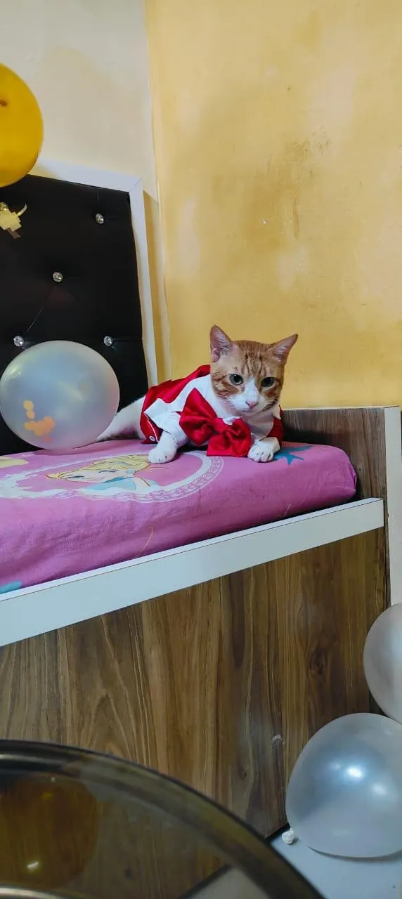 Red Tuxedo Suit for Birthday