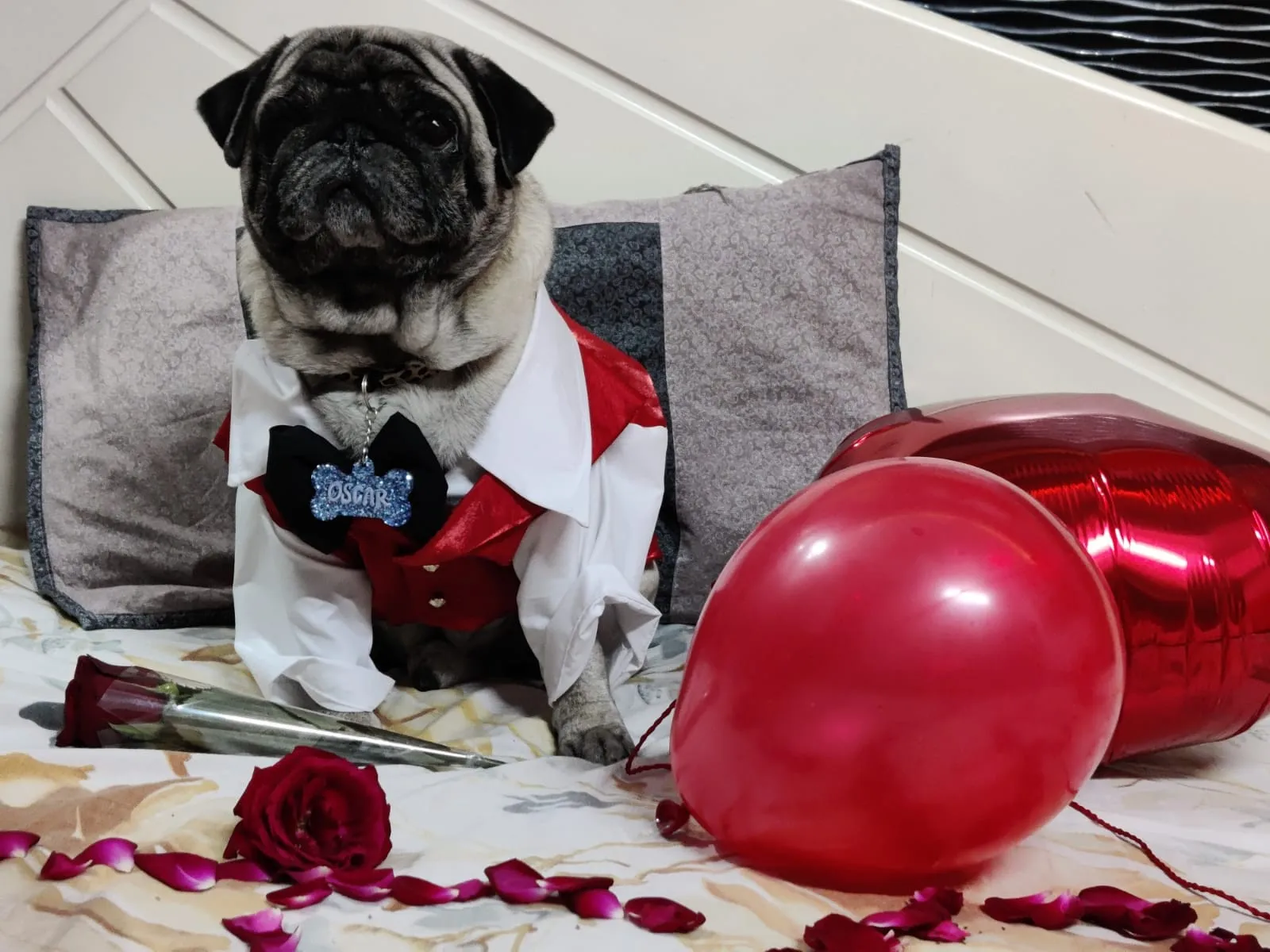 Red Tuxedo Suit for Birthday