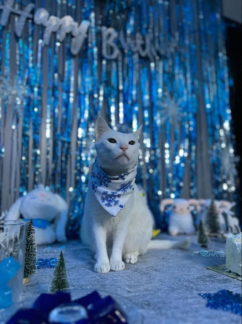 Frosty Snowflakes Christmas Bandana