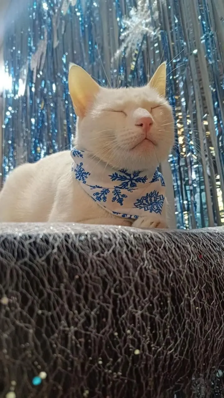 Frosty Snowflakes Christmas Bandana