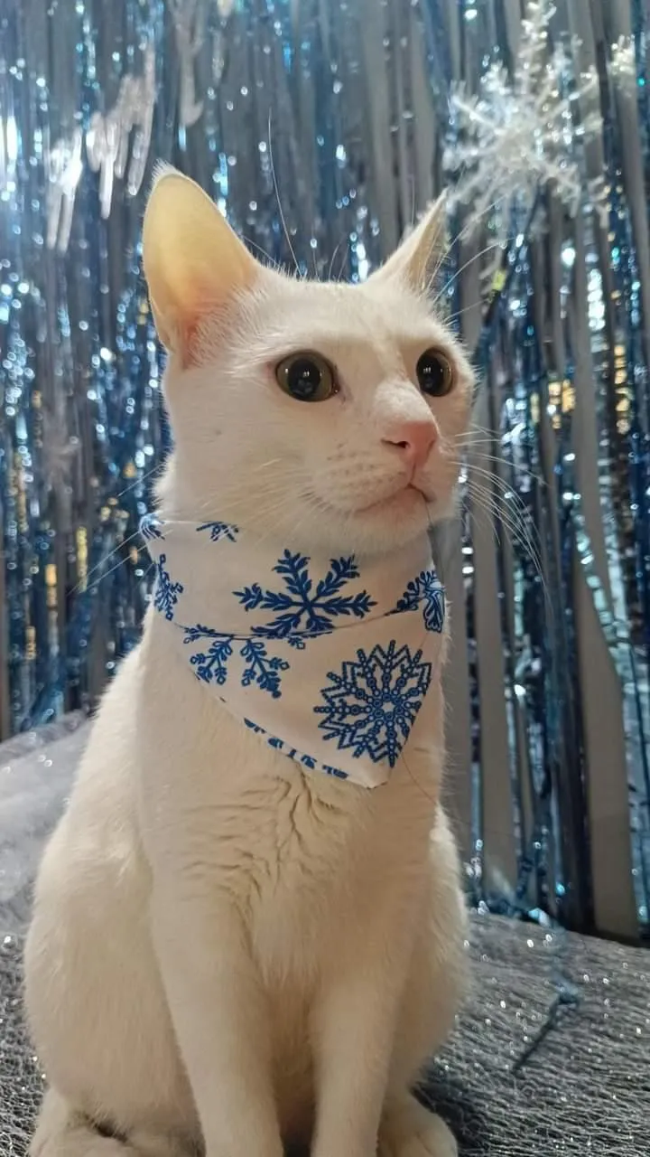 Frosty Snowflakes Christmas Bandana