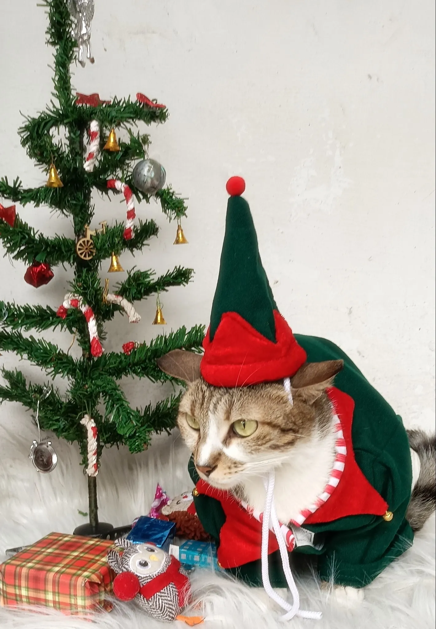 Christmas Elf costume with Cap