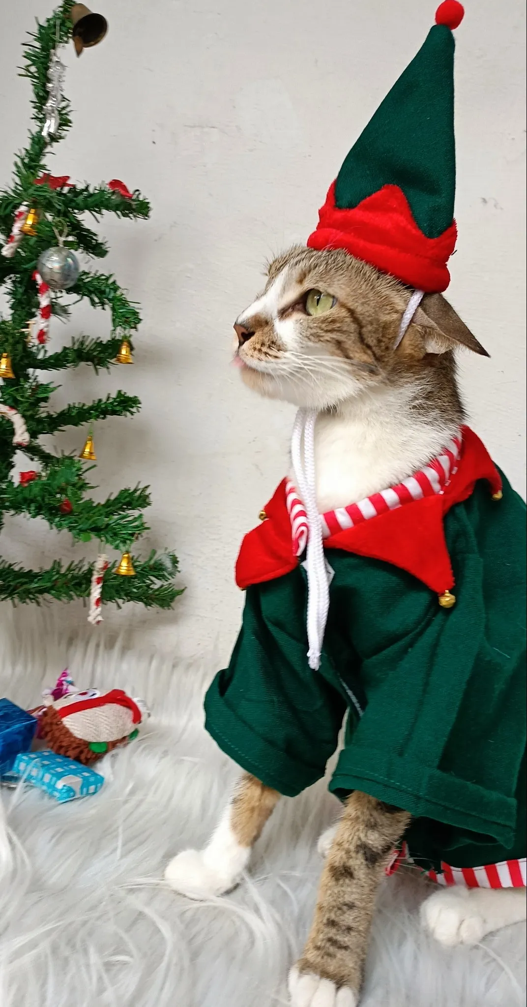 Christmas Elf costume with Cap