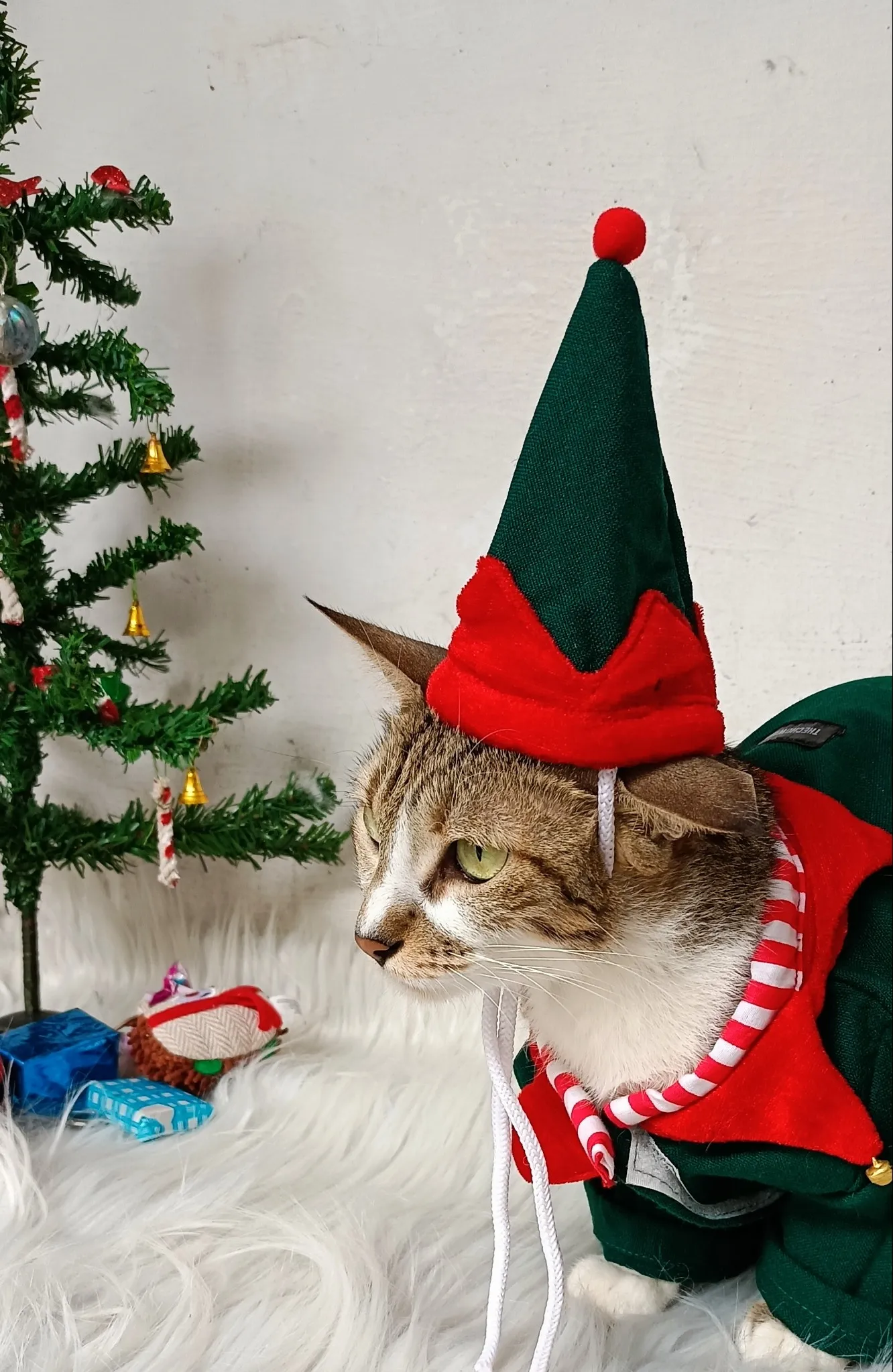 Christmas Elf costume with Cap