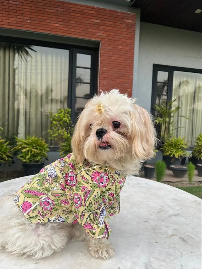 Mint Yellow Floral Ethnic Gotta Kurta