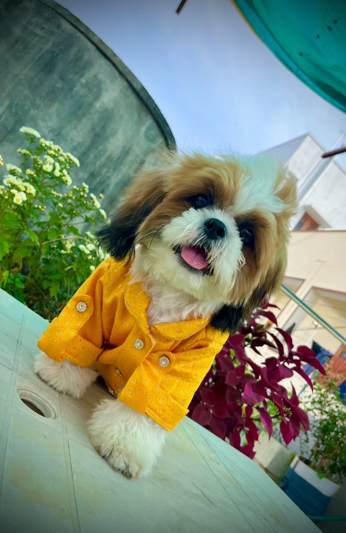 Yellow Brocade Traditional Kurta