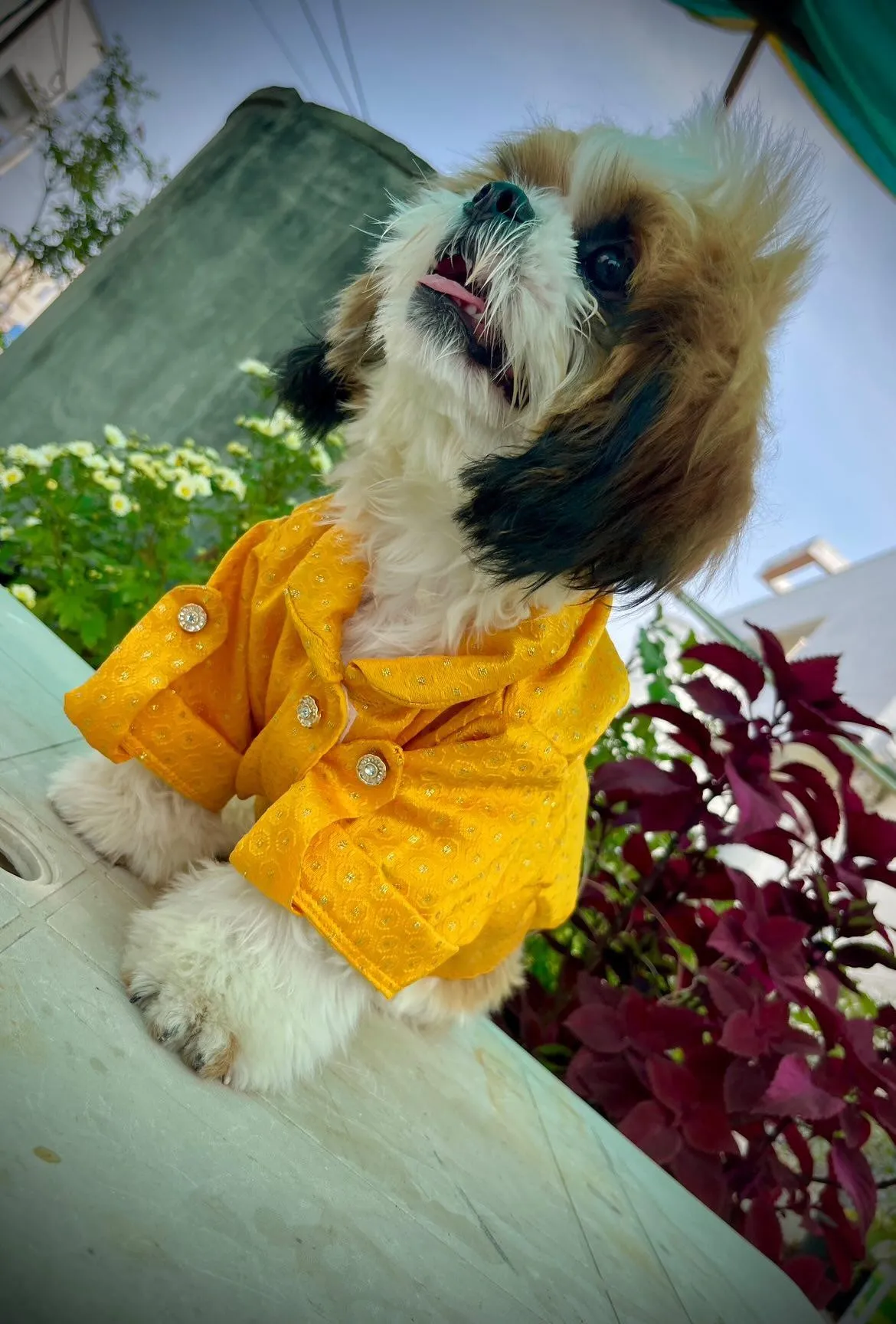 Yellow Brocade Traditional Kurta