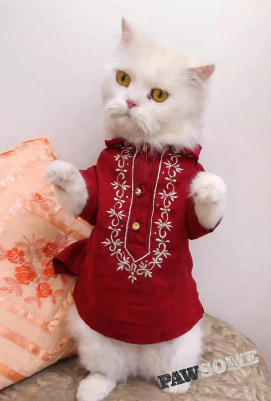 Crimson Red Thread Embroidery Kurta