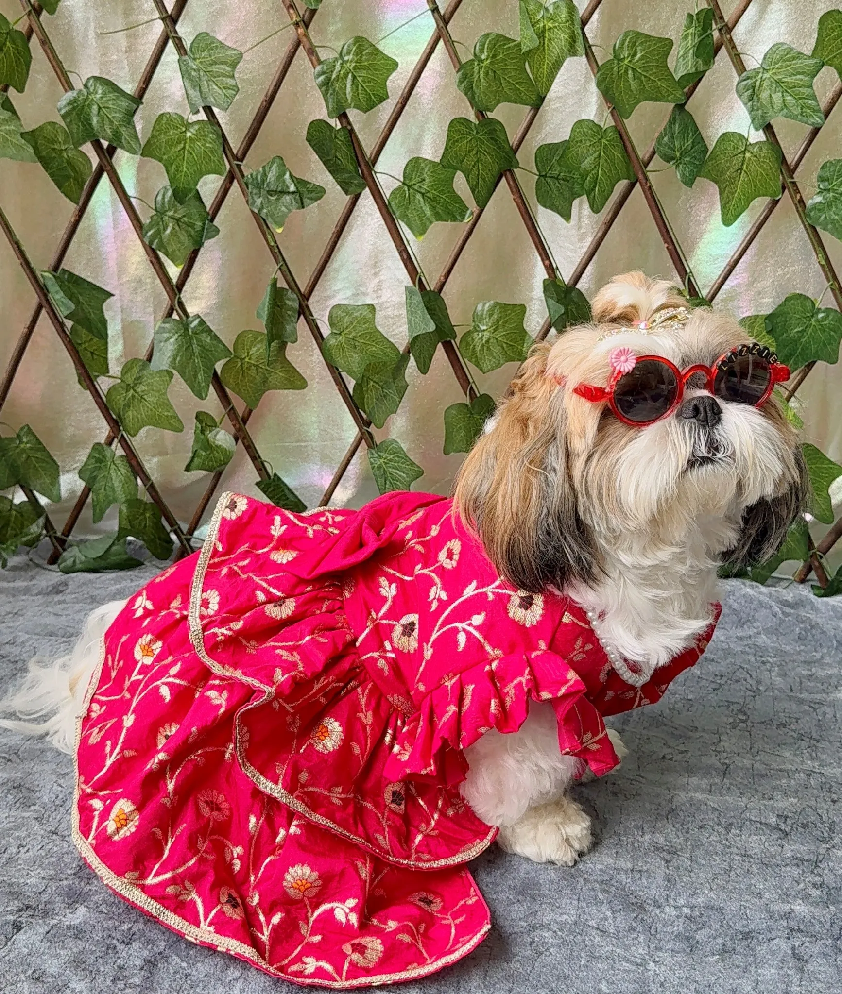 Dark Pink Floral Traditional Banarsi Dress