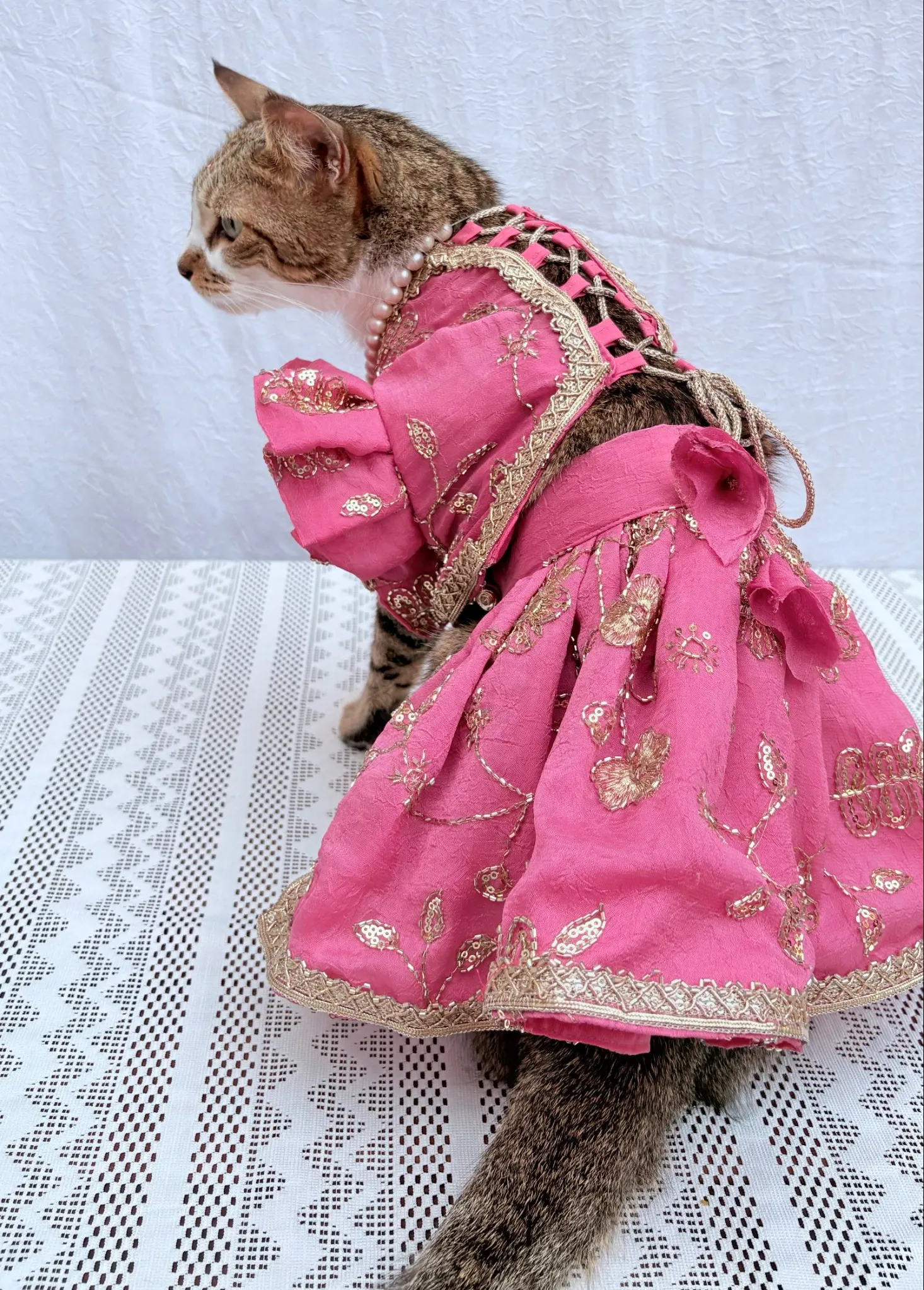 Mauve Pink cutwork Rangoli Crush Lehenga Choli for furbabies