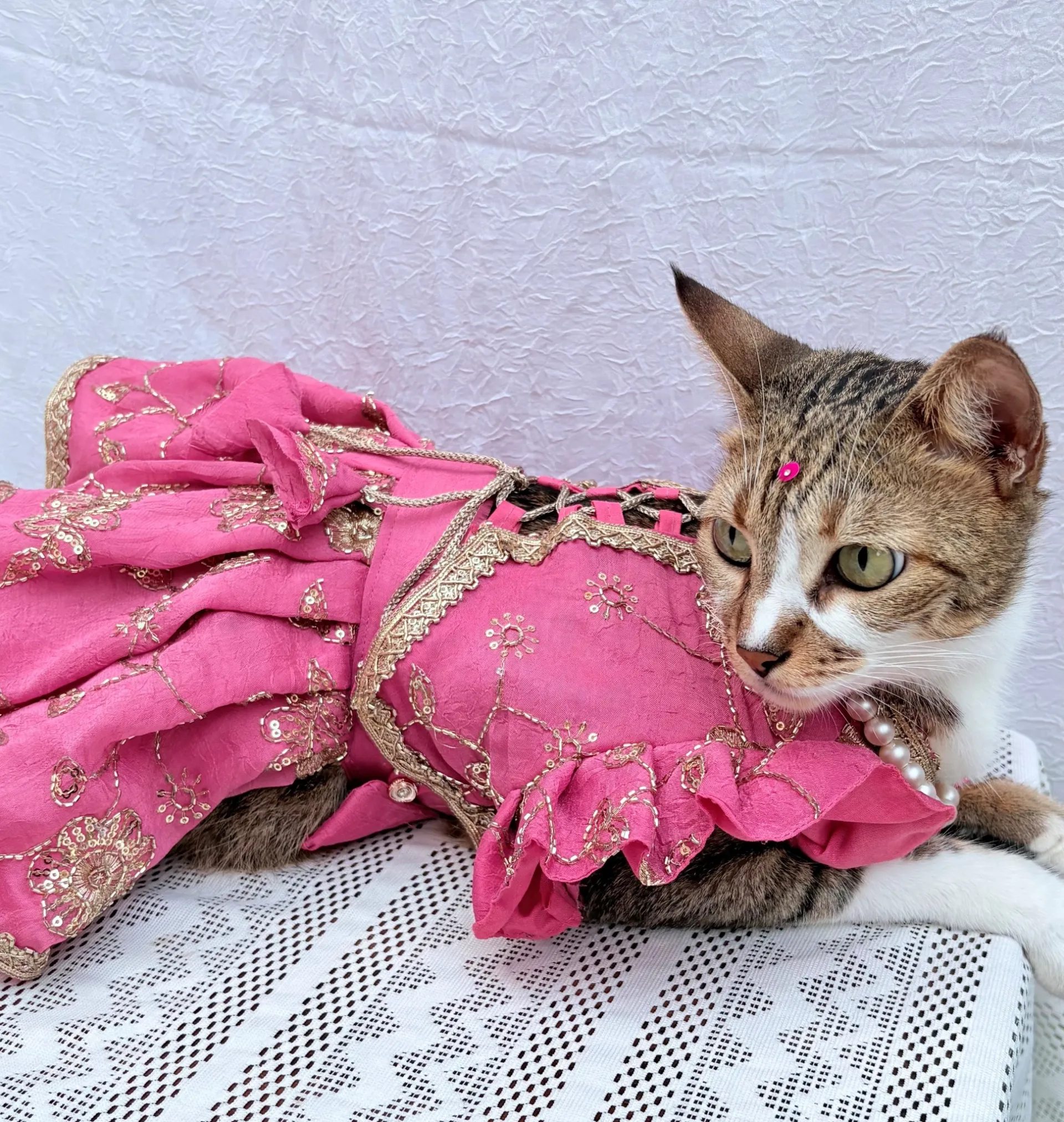Mauve Pink cutwork Rangoli Crush Lehenga Choli for furbabies