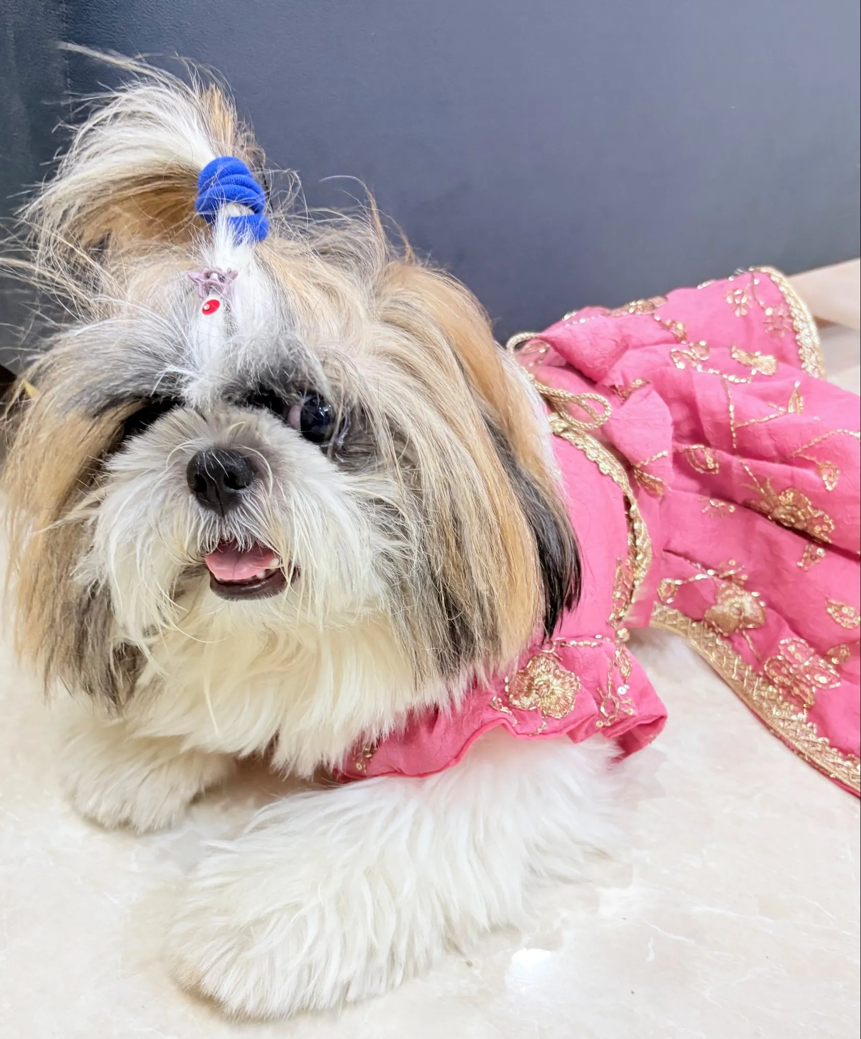 Mauve Pink cutwork Rangoli Crush Lehenga Choli for furbabies