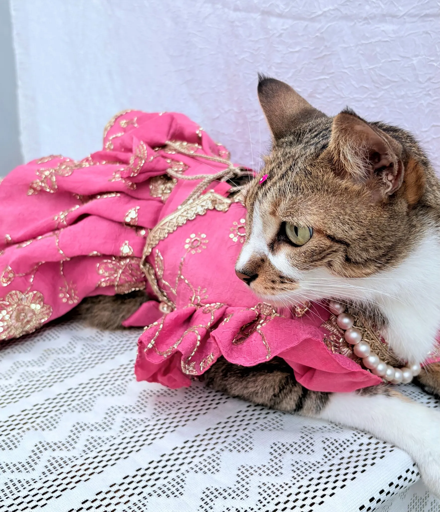 Mauve Pink cutwork Rangoli Crush Lehenga Choli for furbabies