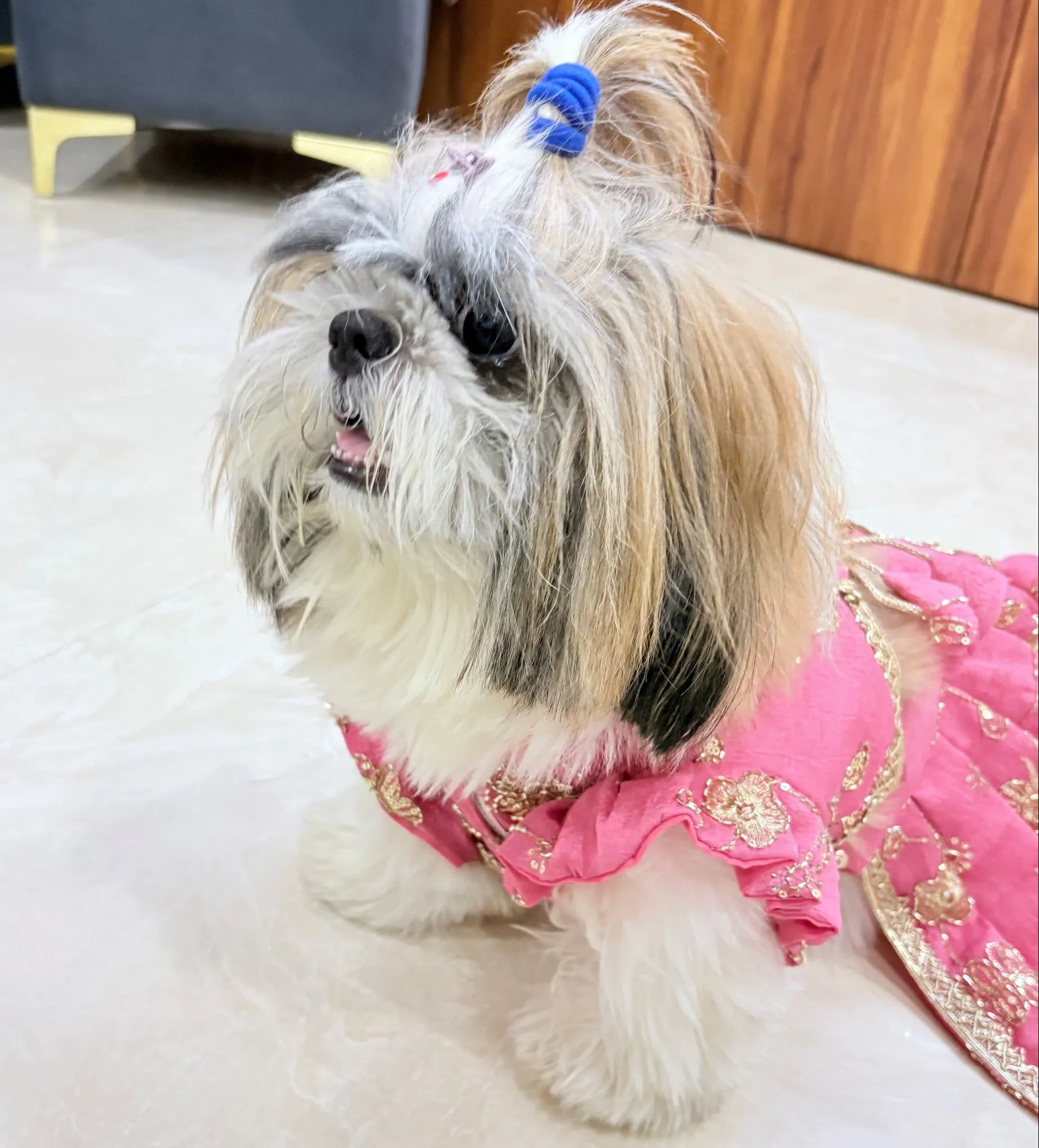 Mauve Pink cutwork Rangoli Crush Lehenga Choli for furbabies