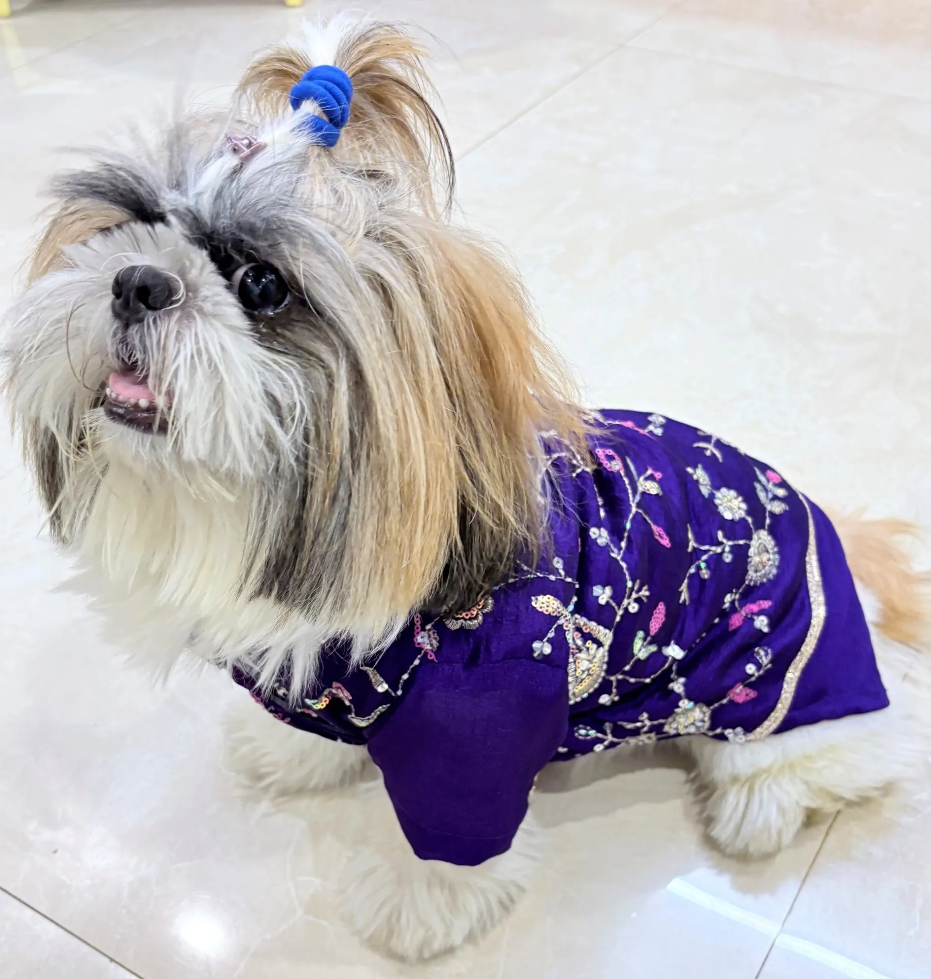 Purple Cutwork Rangoli Crush Traditional Kurta for pets