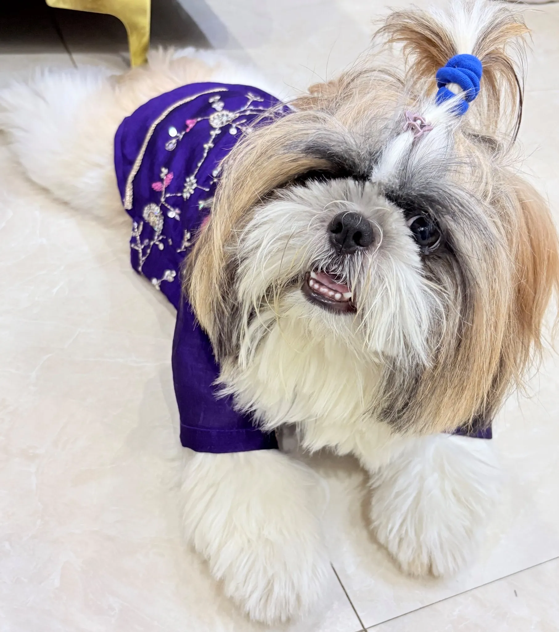 Purple Cutwork Rangoli Crush Traditional Kurta for pets