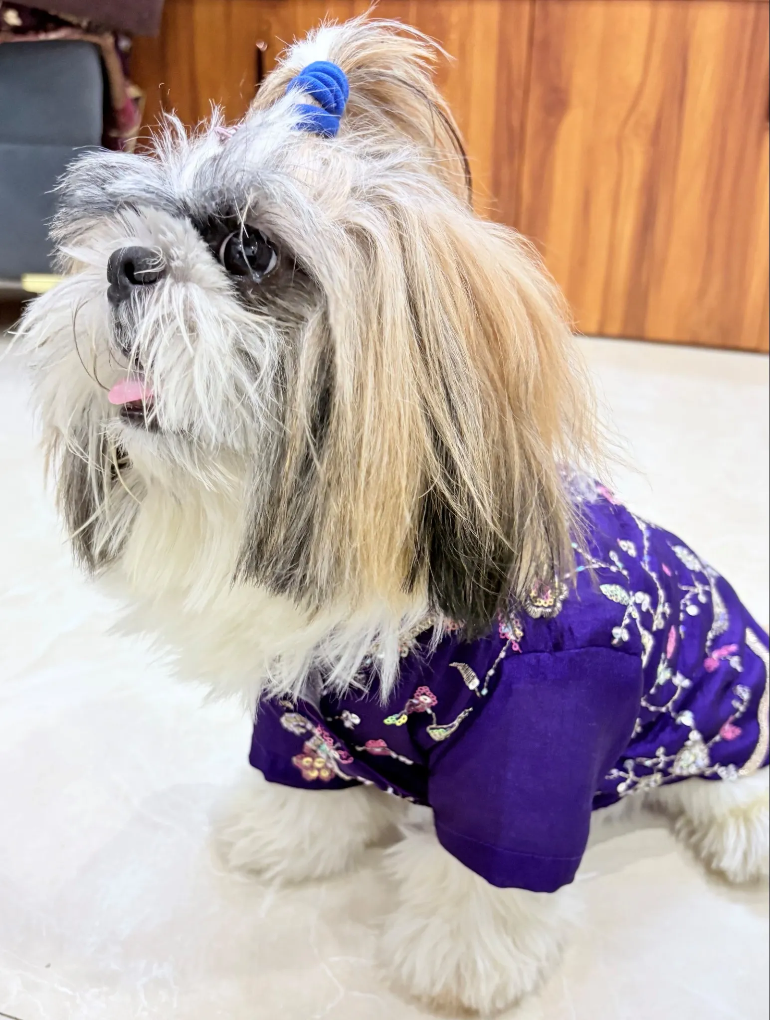 Purple Cutwork Rangoli Crush Traditional Kurta for pets