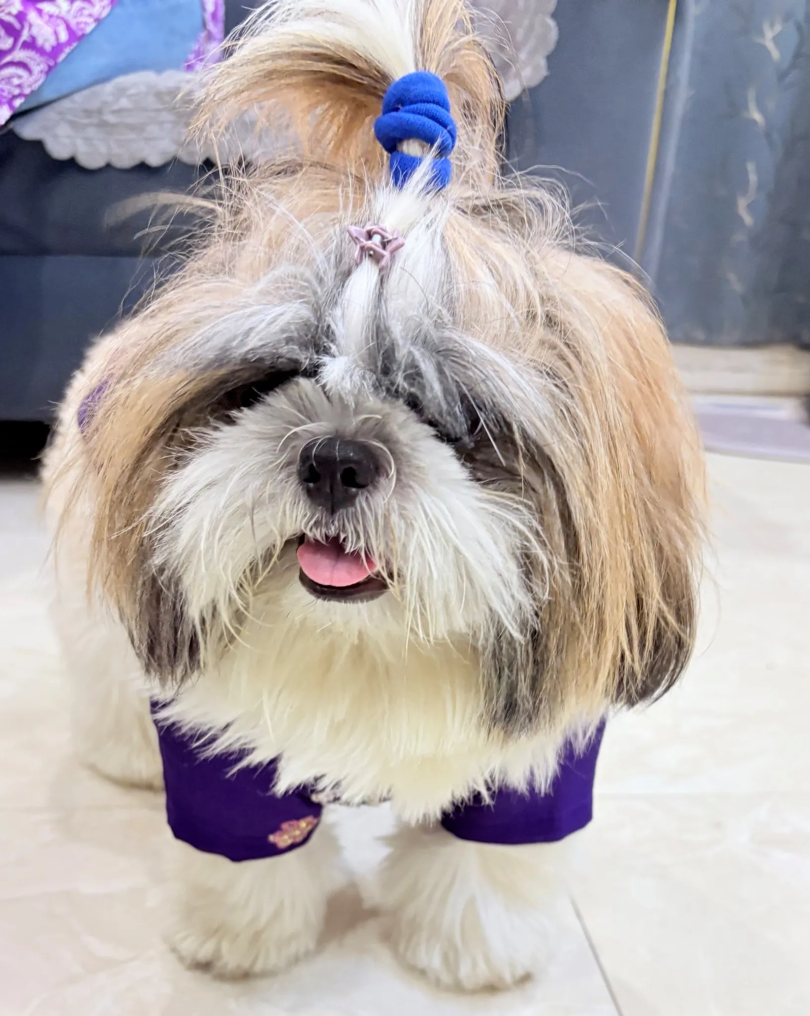 Purple Cutwork Rangoli Crush Traditional Kurta for pets