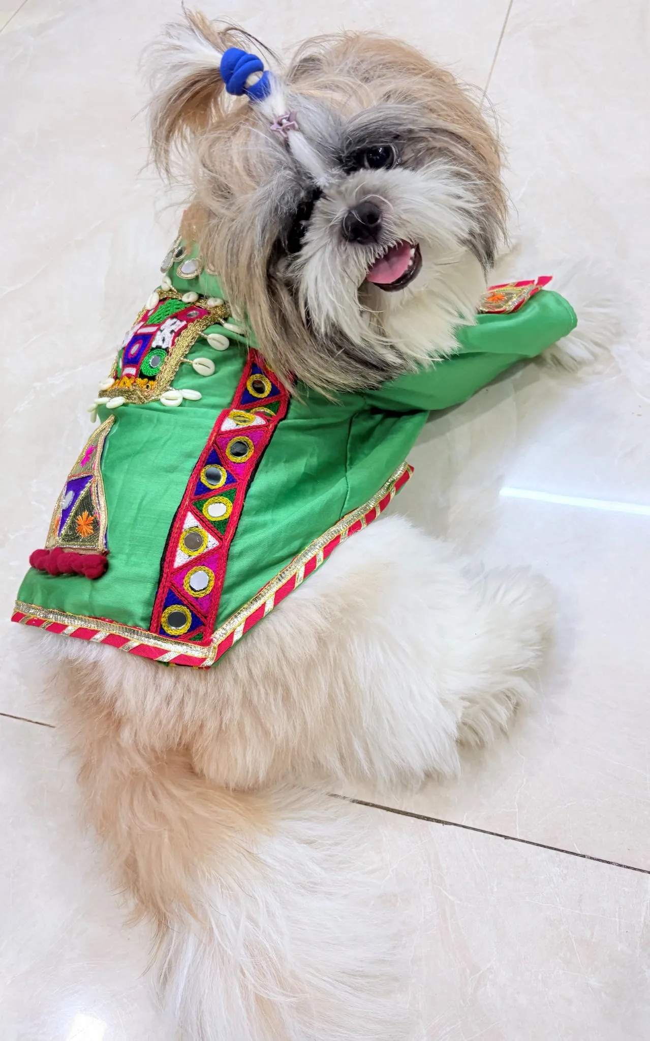 Sage Green Navratri Kediya for pets