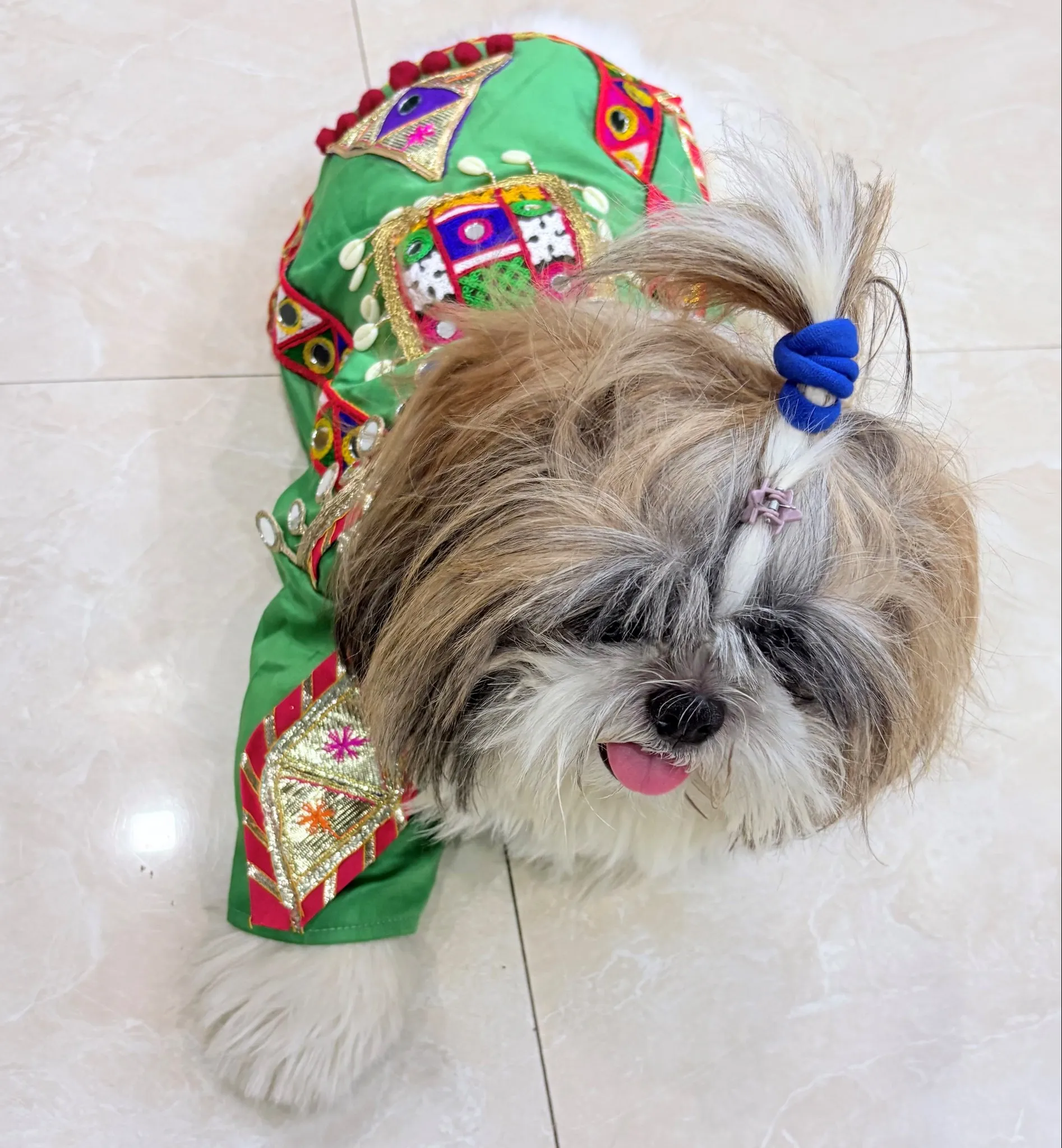 Sage Green Navratri Kediya for pets