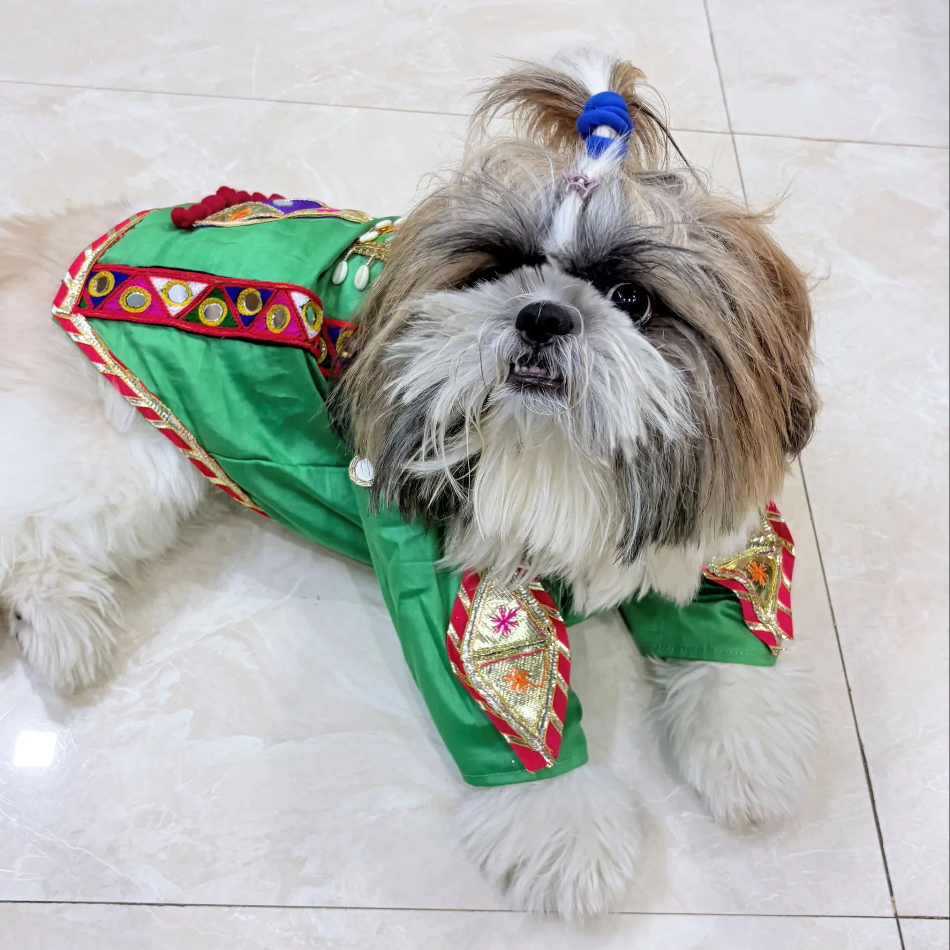 Sage Green Navratri Kediya for pets
