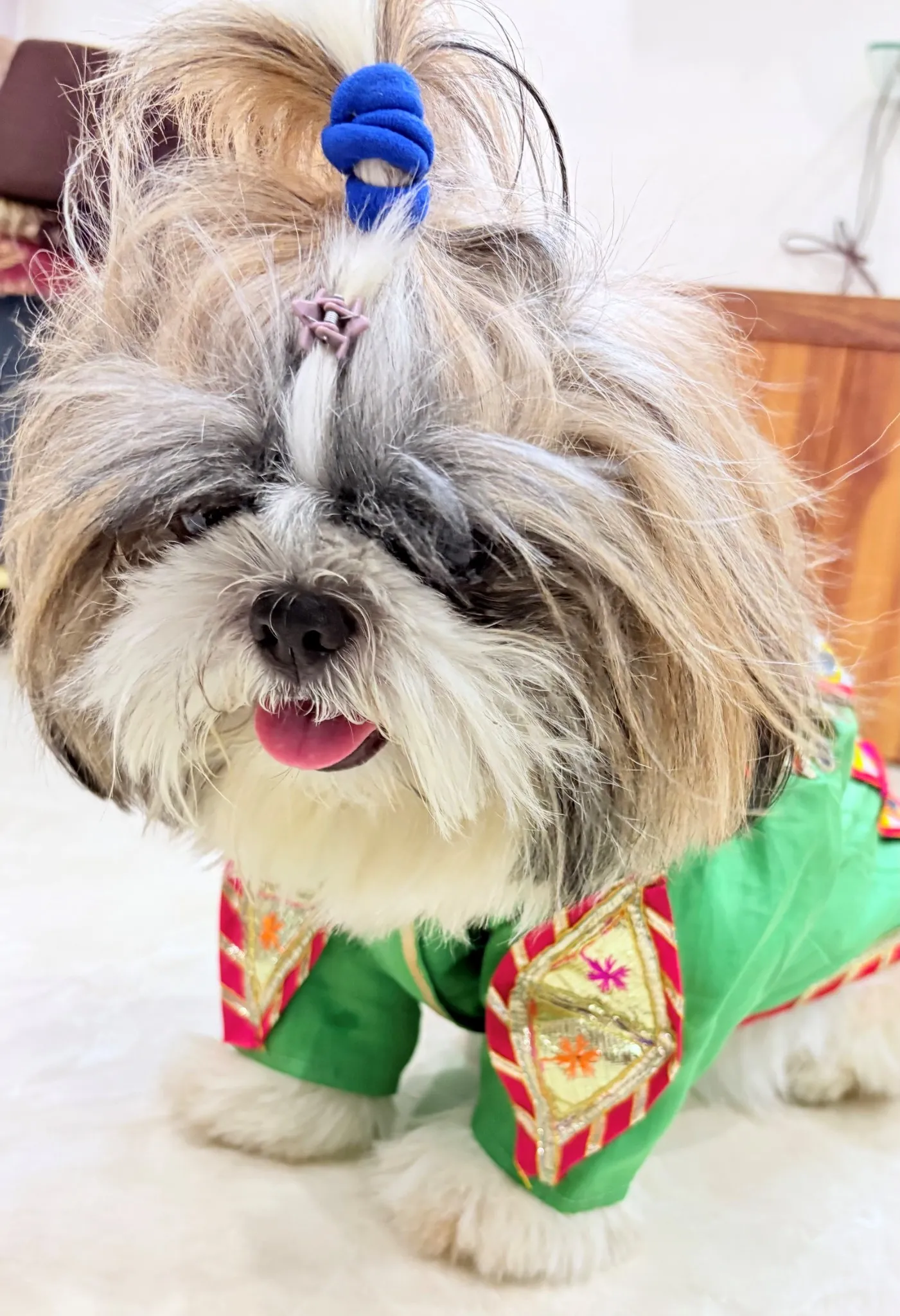 Sage Green Navratri Kediya for pets
