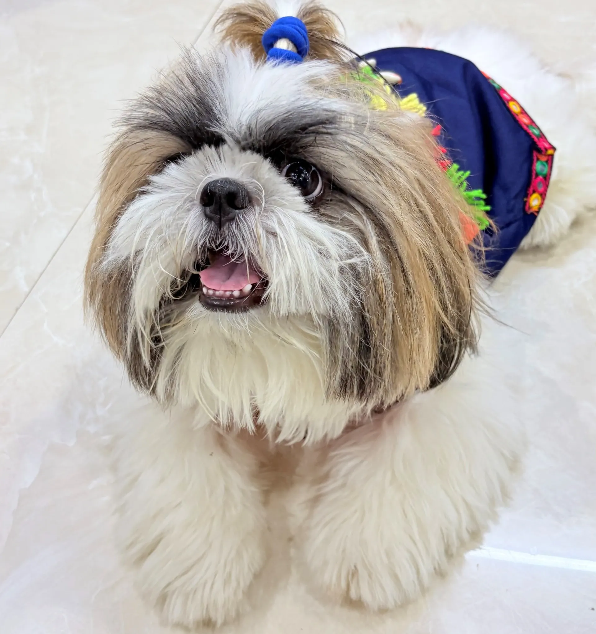 Blue Denim Navratri Kediya for pets