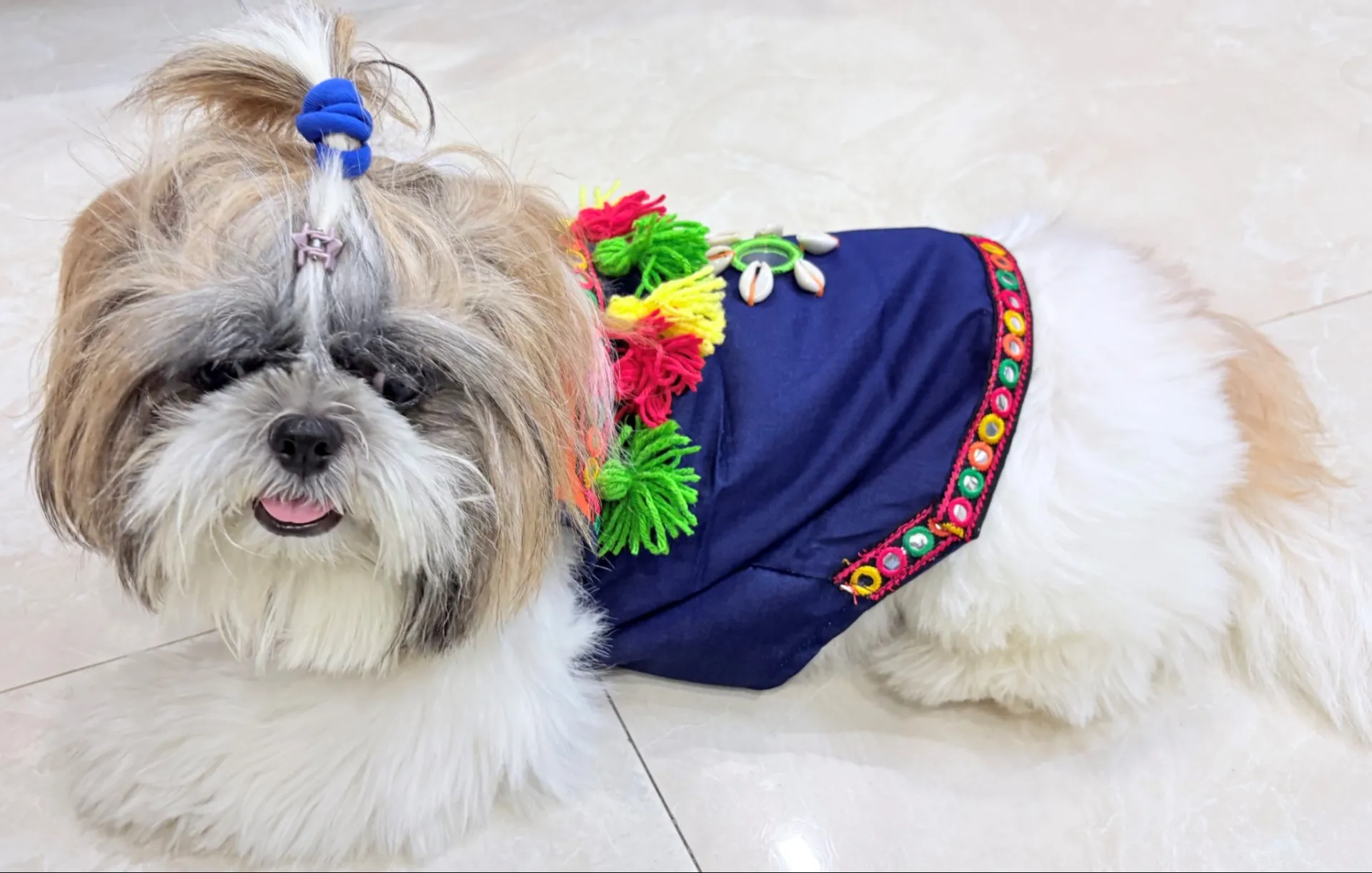 Blue Denim Navratri Kediya for pets
