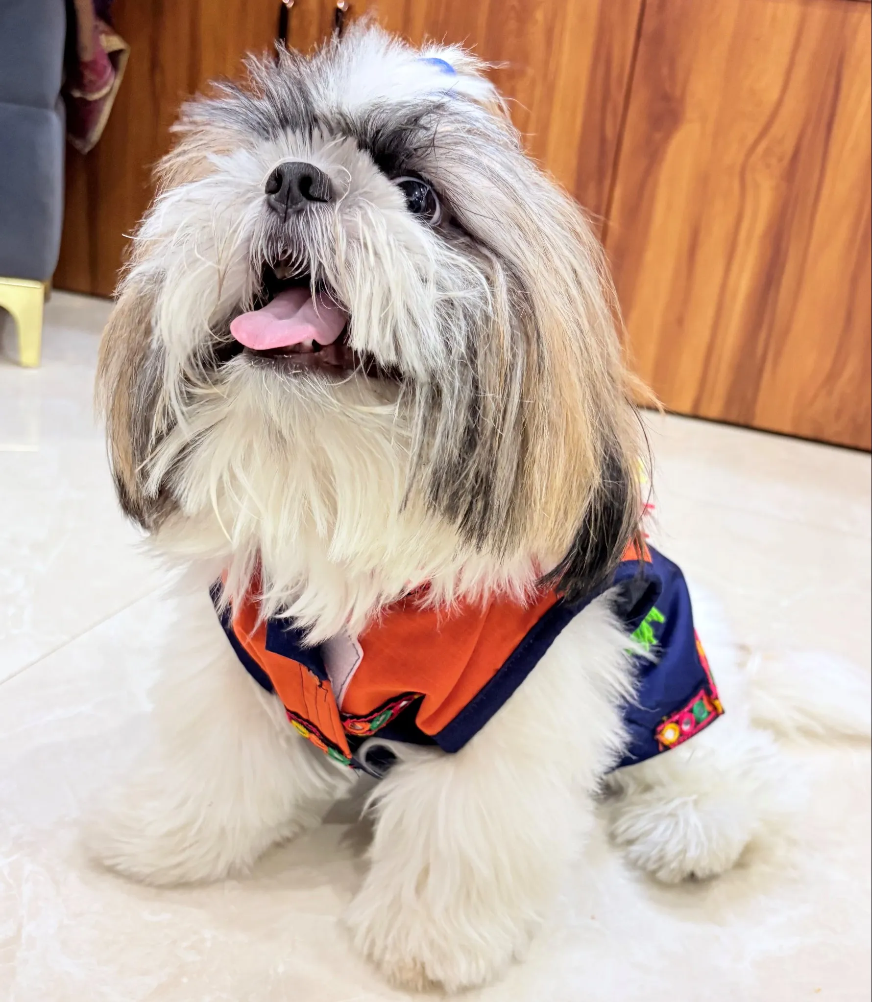 Blue Denim Navratri Kediya for pets