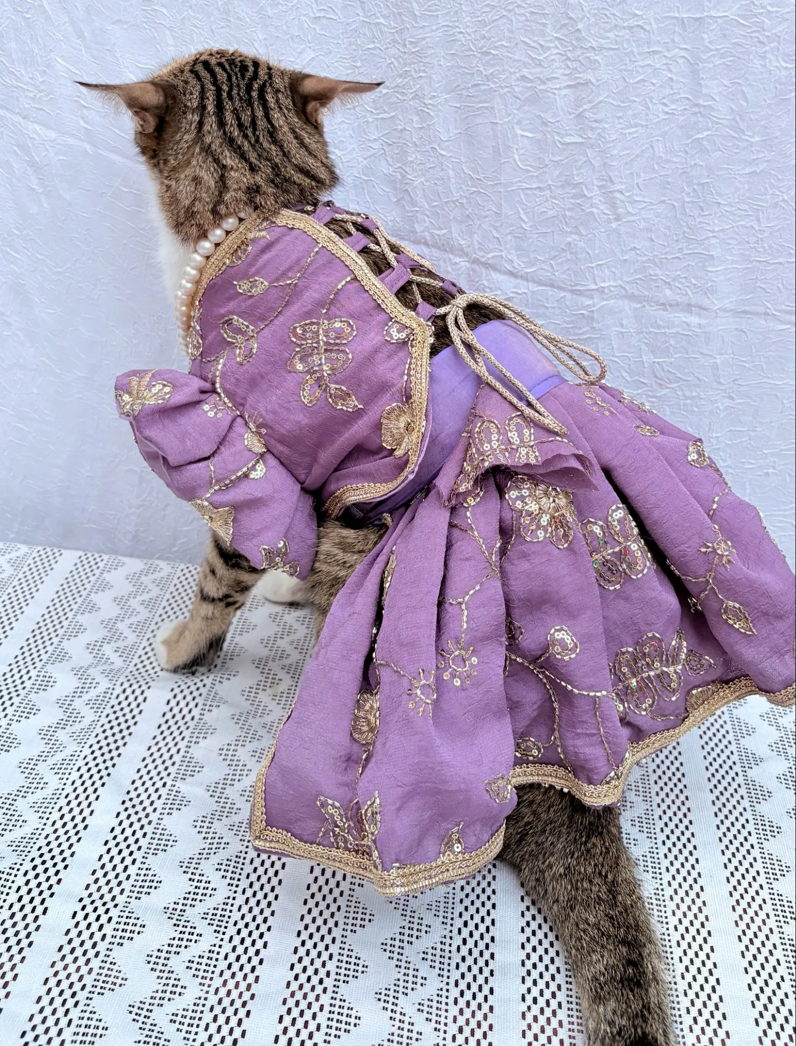 Mauve Blue cutwork Rangoli crush Lehenga Choli for pets