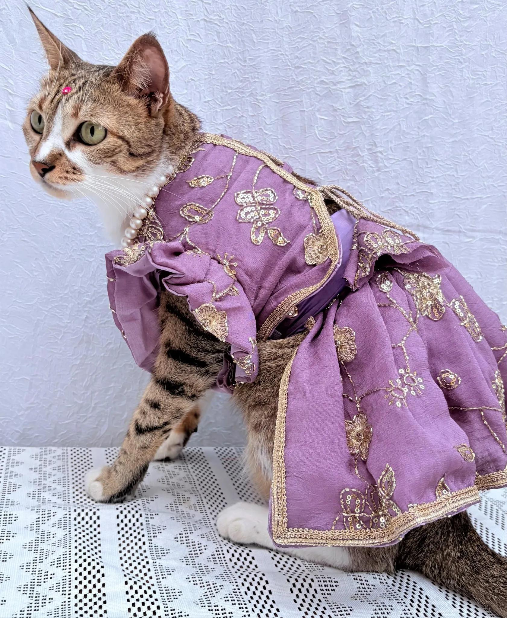 Mauve Blue cutwork Rangoli crush Lehenga Choli for pets