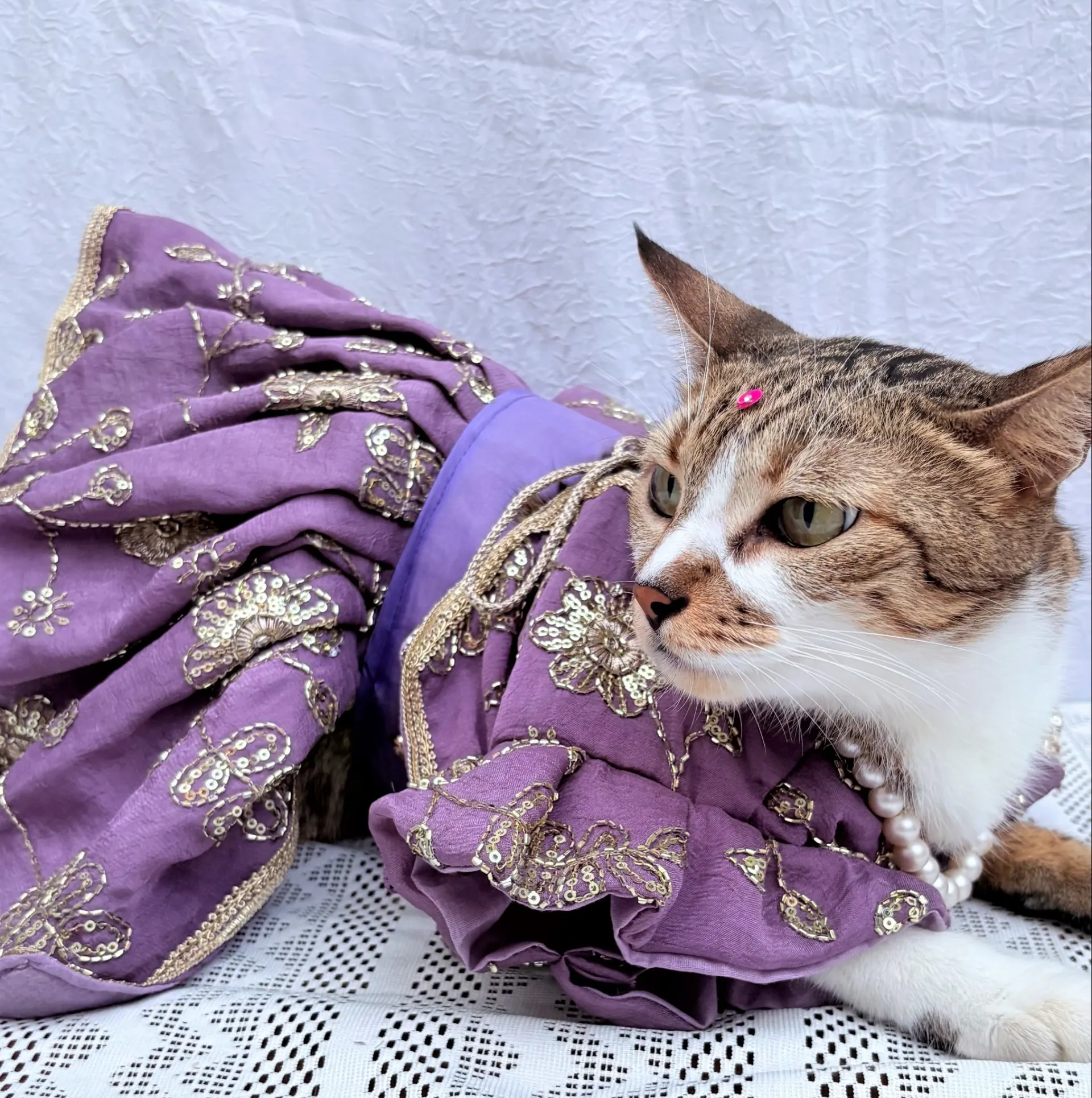 Mauve Blue cutwork Rangoli crush Lehenga Choli for pets