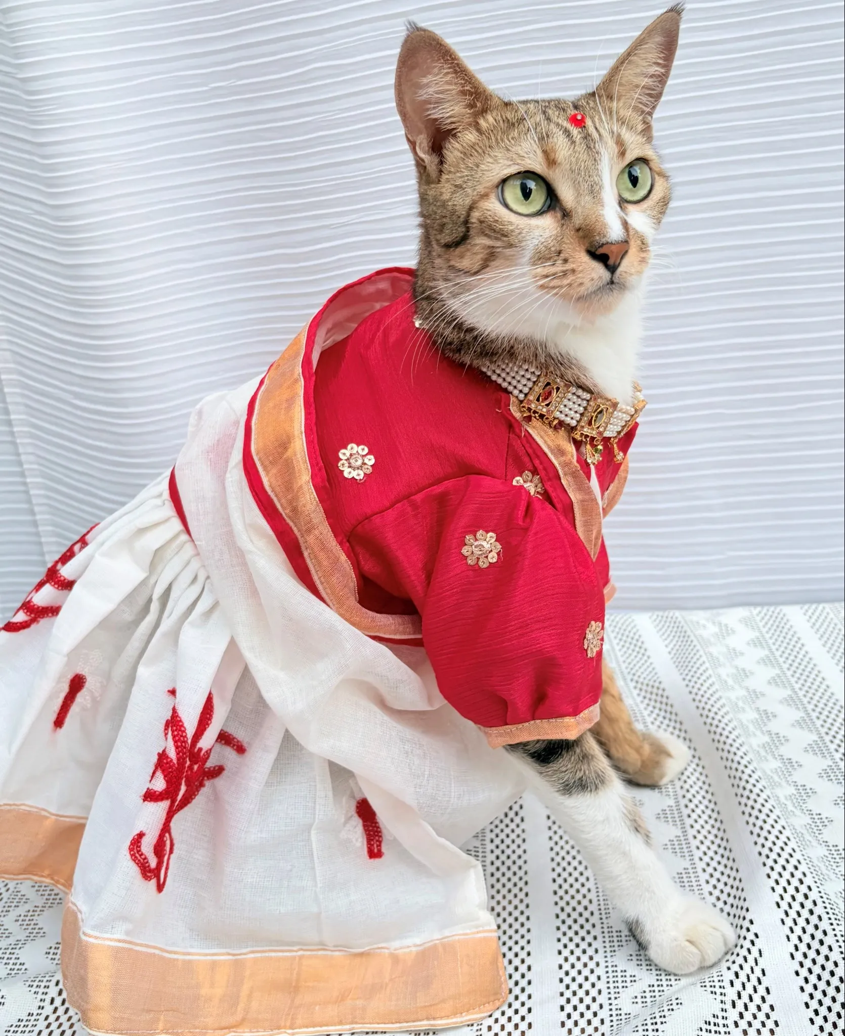 Thechowmeow Bengali Saree For Durga Puja | Indian saree | Durga Puja Saree for Pets | off-white & red color